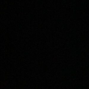 Meet your Posher, Roya